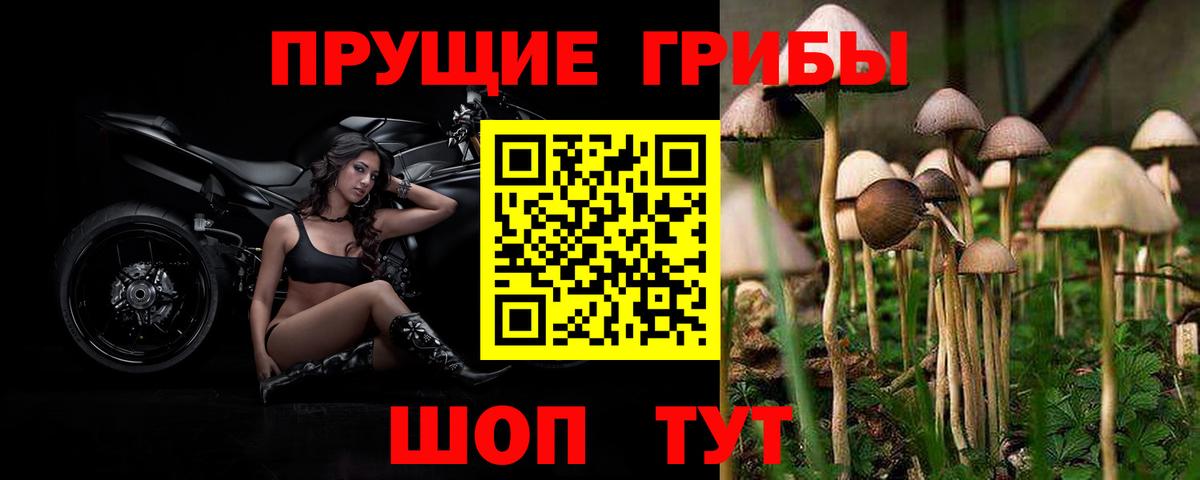 Боровичи  Галлюциногенные грибы MAGIC MUSHROOMS  наркотики  Псилоцибиновые грибы ЛСД  Вход с VPN 