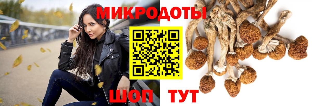 Галлюциногенные грибы мицелий Боровичи